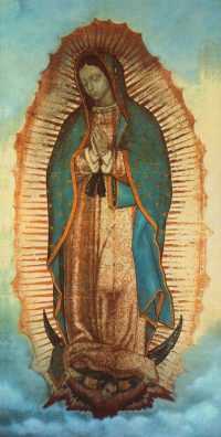 Virgen De Guadalupe Wallpaper 2