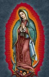 Virgen De Guadalupe Wallpaper 1