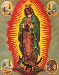 Virgen De Guadalupe Wallpaper 5