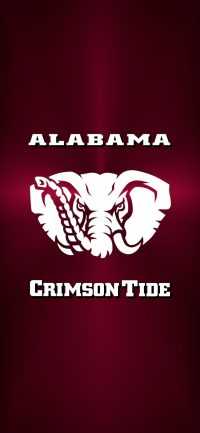 Alabama Crimson Tide Wallpaper 7