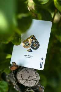 Cards Wallpaper Phone