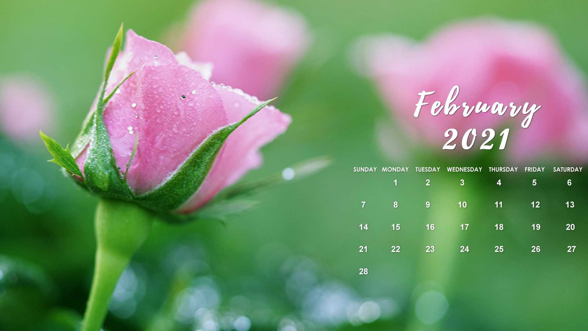 Featured image of post February 2021 Calendar Desktop Wallpaper Aesthetic