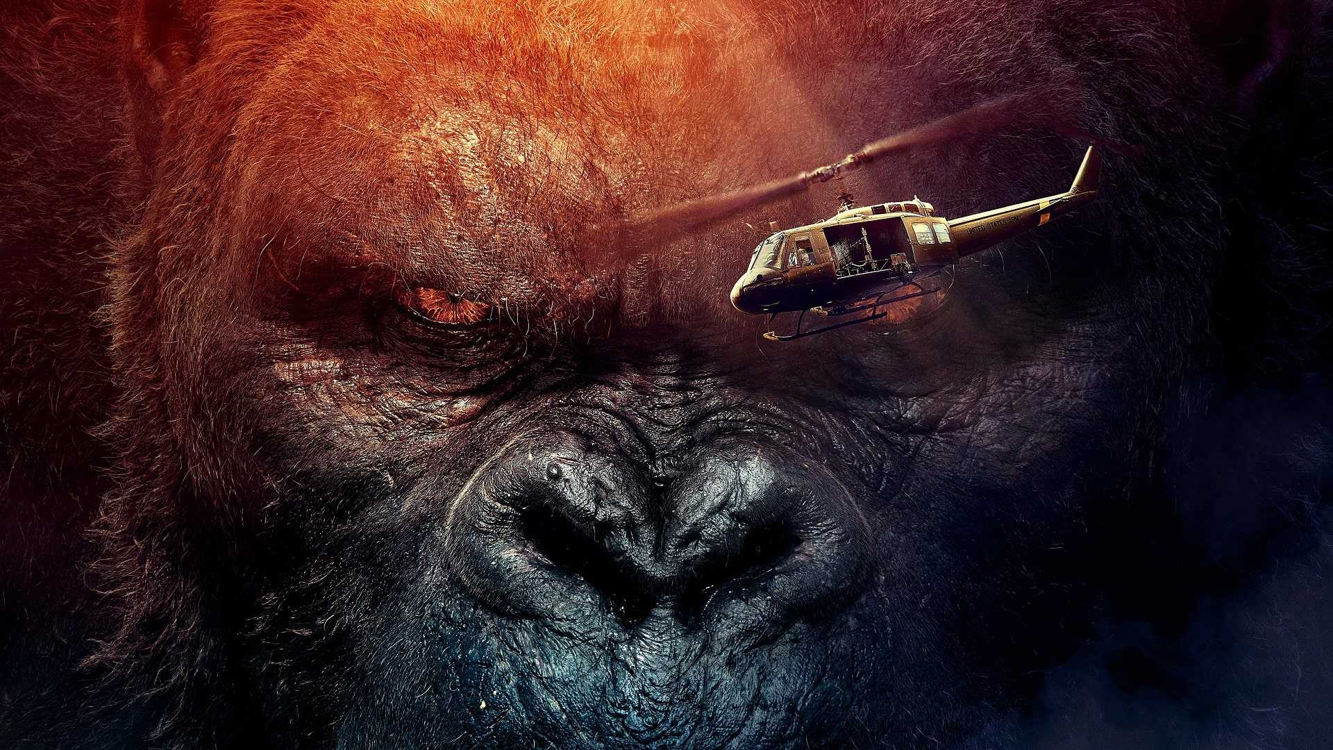HD King Kong Wallpapers 1 HD King Kong Wallpapers