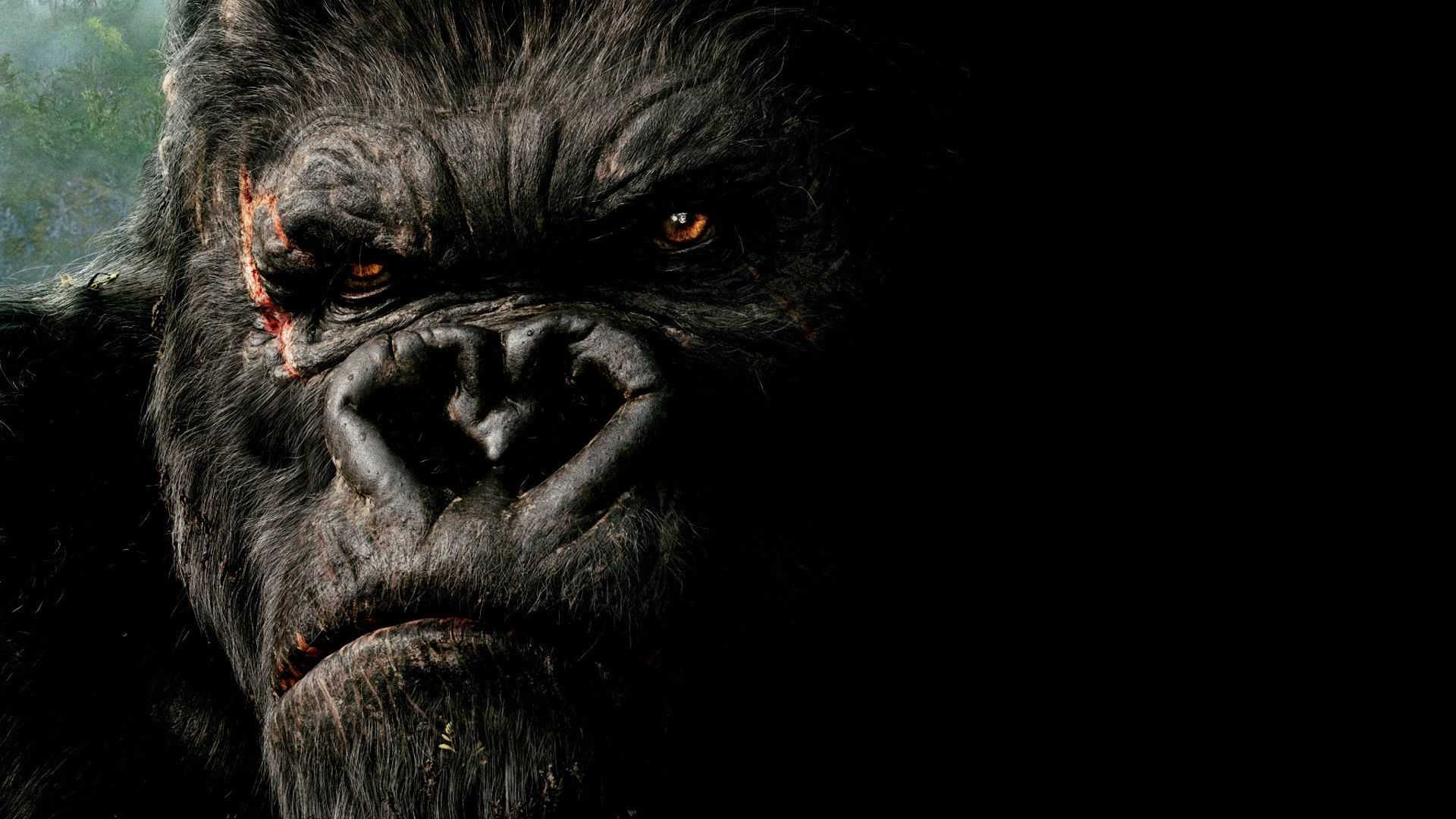 King Kong Wallpaper 1 King Kong Wallpaper 1