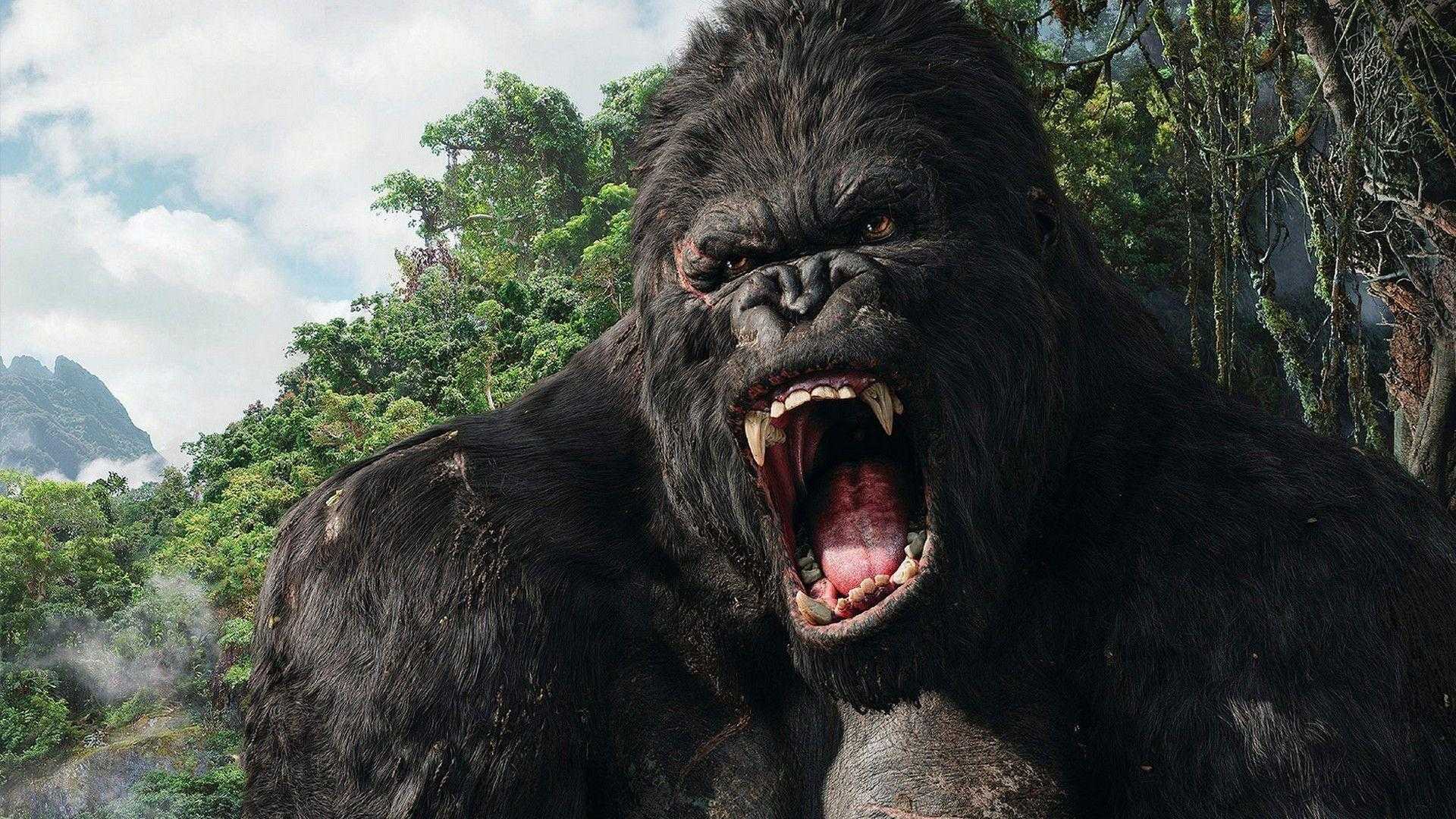 King Kong Wallpaper HD 1 King Kong Wallpaper HD 1