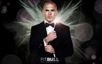 MR Worldwide Pitbull Wallpaper
