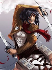 Mikasa Background