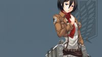 Mikasa Wallpaper HD