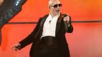 Pitbull Rapper Wallpaper 13