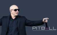Pitbull Rapper Wallpaper 2