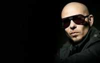 Pitbull Rapper Wallpaper 3