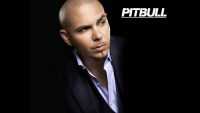 Pitbull Rapper Wallpaper 4