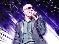 Pitbull Rapper Wallpaper 4K