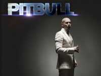 Pitbull Rapper Wallpaper 5