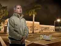 Pitbull Rapper Wallpaper 8