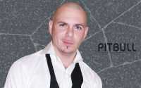 Pitbull Rapper Wallpaper Desktop
