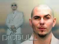 Pitbull Rapper Wallpapers 2