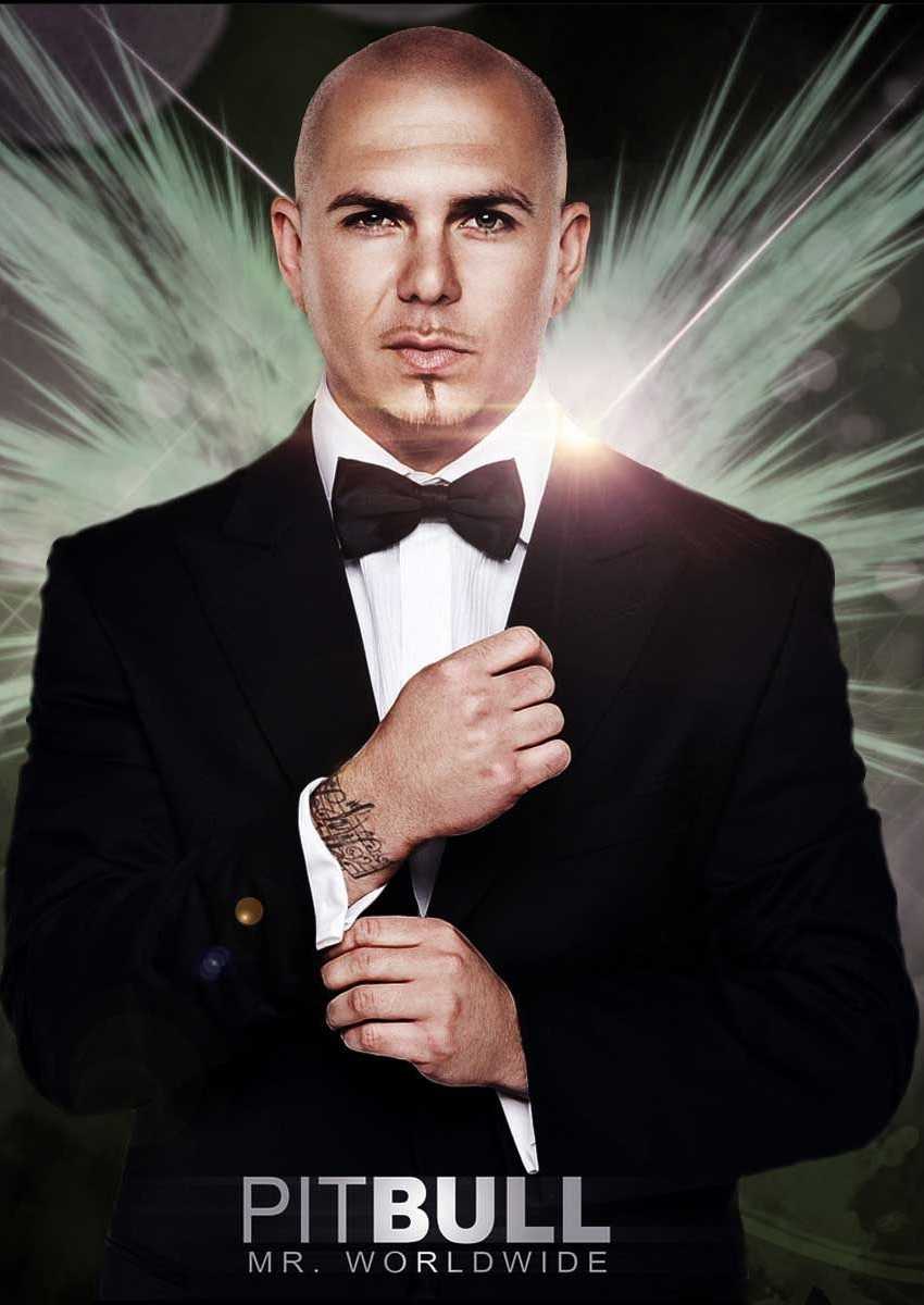 Pitbull Singer Wallpaper 1 Pitbull Singer Wallpaper