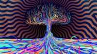 Psychedelic Wallpapers 6