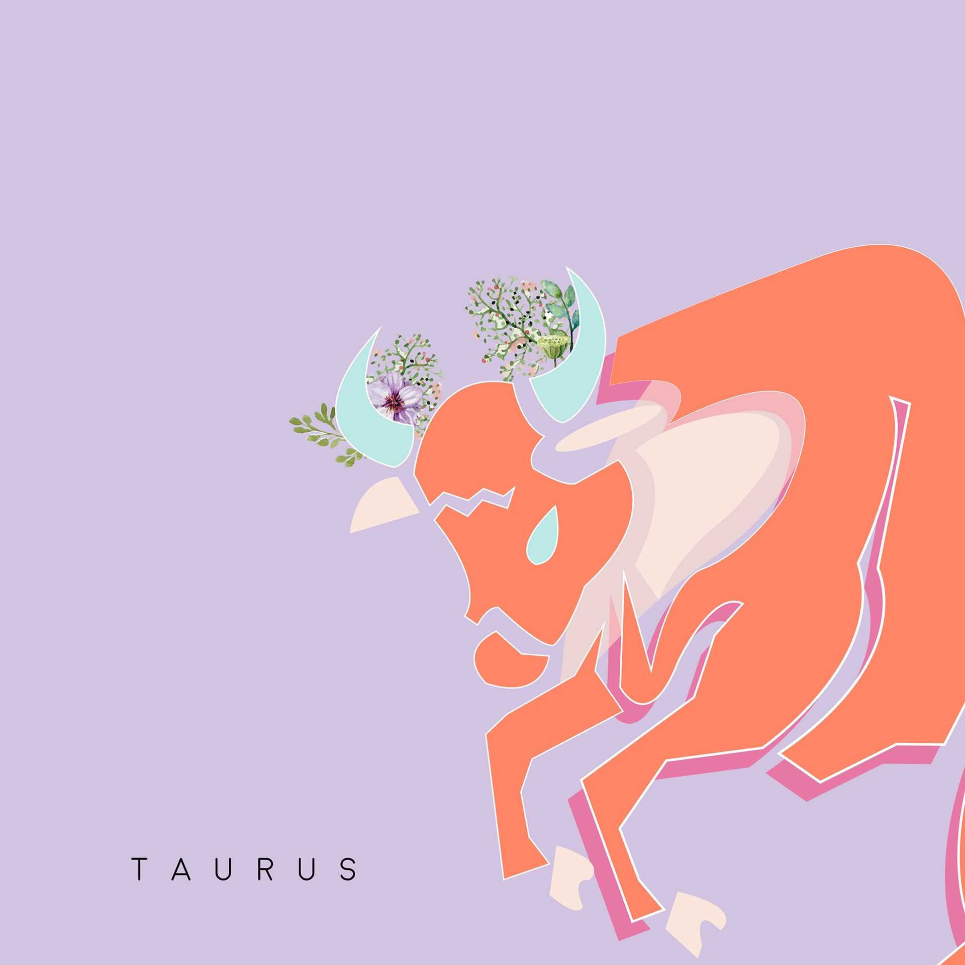 Taurus Background 1 Taurus Background 3