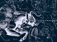 Taurus Wallpaper PC 2