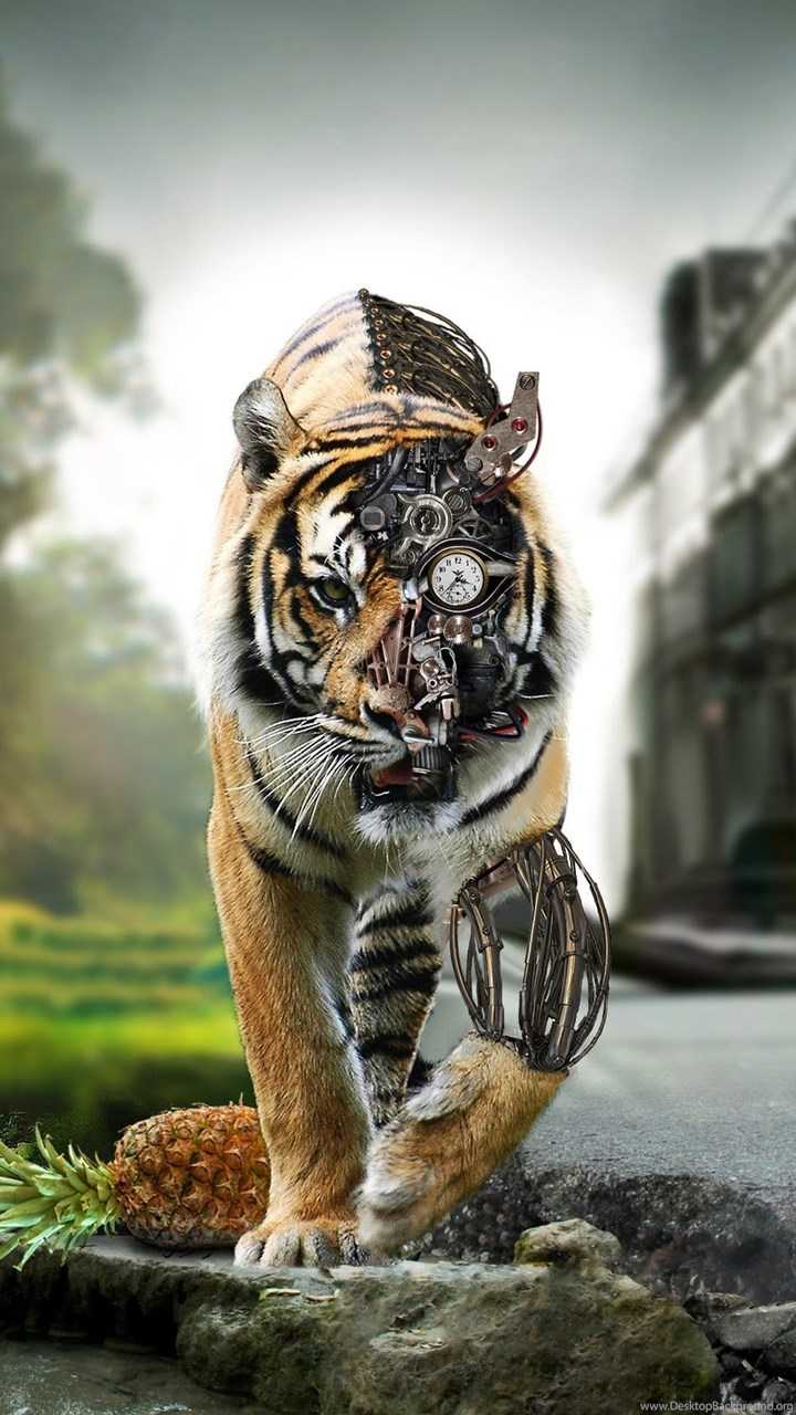 Tiger Lockscreen 1 Tiger Lockscreen 1