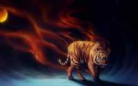 Tiger Wallpaper 17