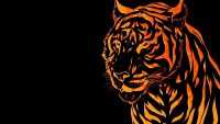Tiger Wallpaper 9