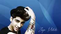 Zayn Malik HD Wallpaper