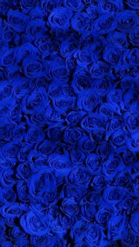 Blue Wallpaper 9