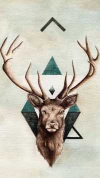 Deer Wallpaper 10