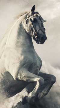 Horse Wallpaper 4