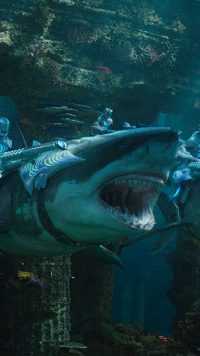 iPhone Shark Wallpaper