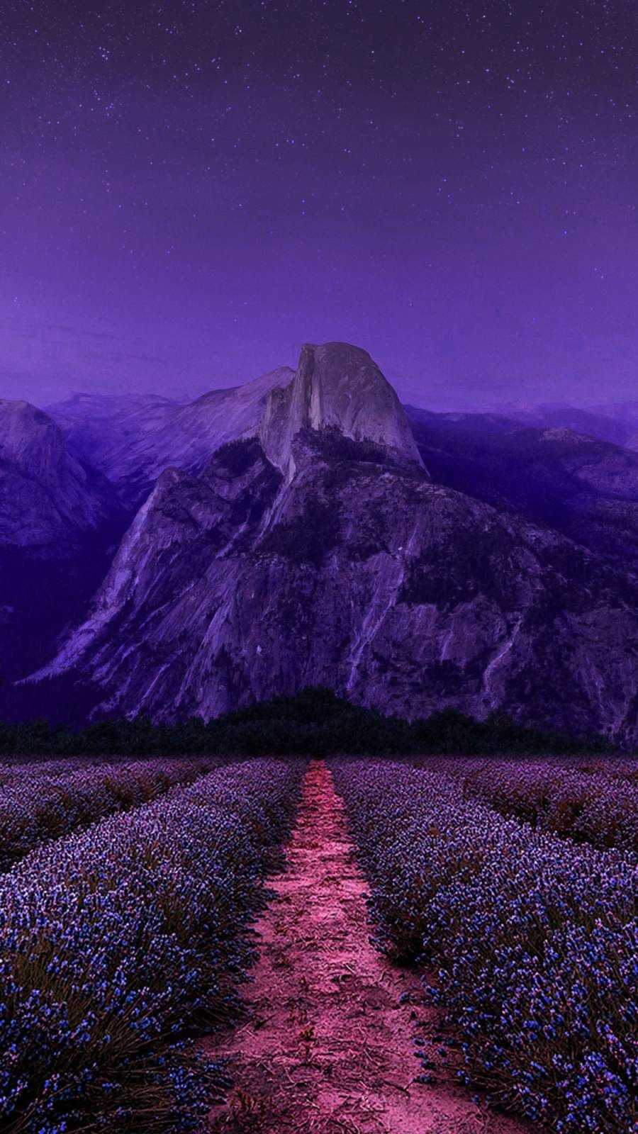 Nature Wallpapers 1