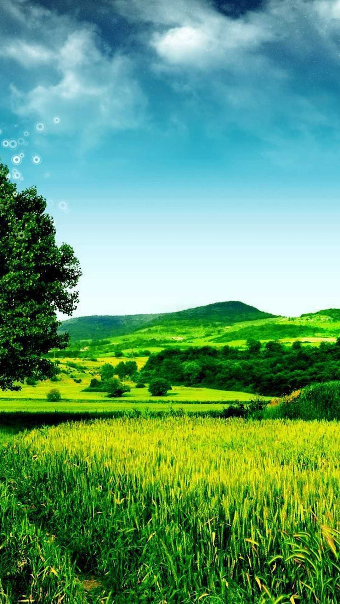 Nature Wallpapers 1