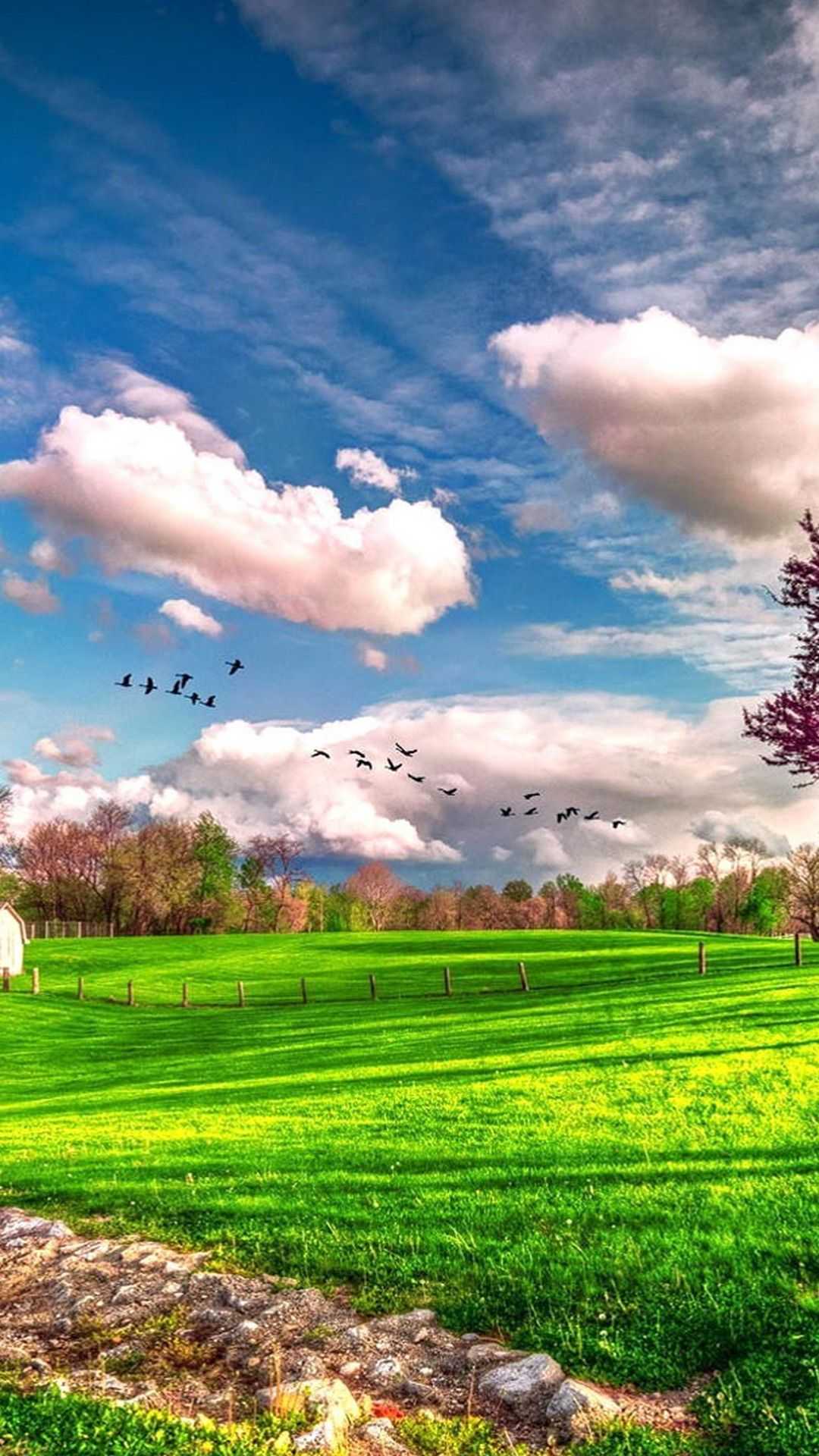 Nature Wallpapers 1