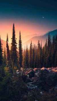 HD Nature Wallpapers 5