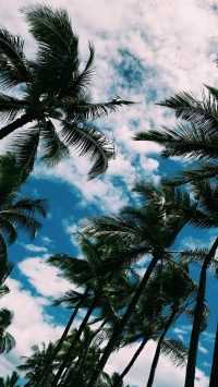 Nature Wallpapers 10