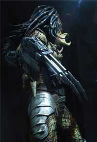 Predator Wallpaper 2