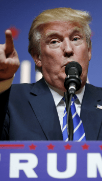 Trump Wallpaper 9