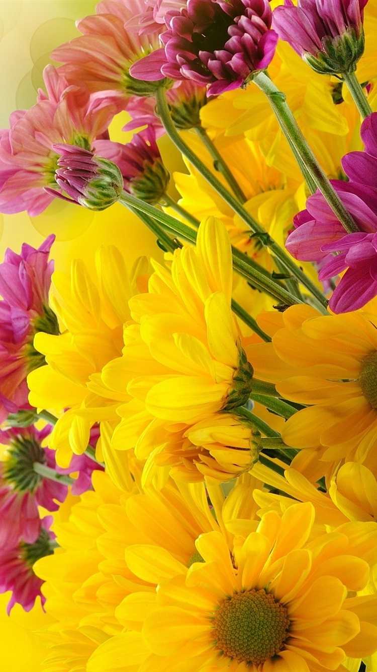 Yellow Wallpaper 1 Yellow Wallpaper 1