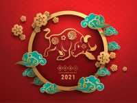 2021 Chinese New Year Wallpaper 1