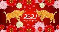 4K Chinese New Year Wallpaper 3