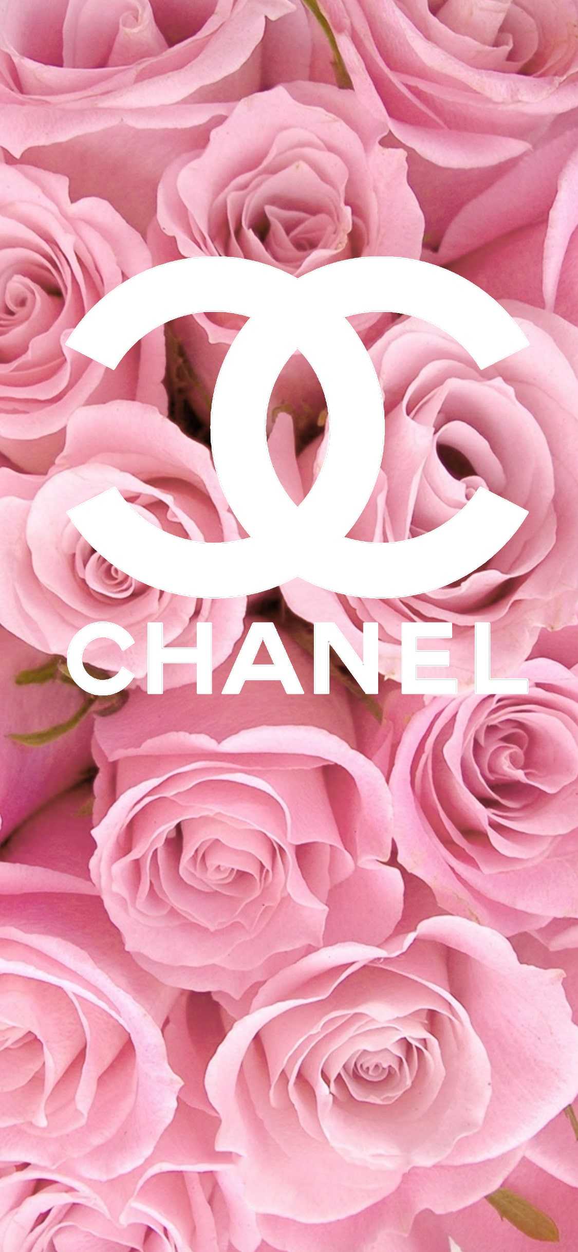 Chanel Wallpapers Backgrounds Free Download Pixelstal - vrogue.co