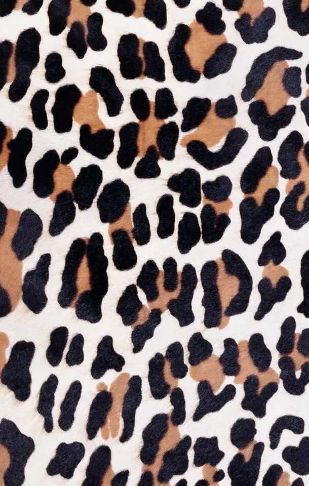 Cheetah Print Wallpaper 1 Cheetah Print Wallpaper 1