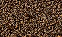 Cheetah Print Wallpaper PC 3
