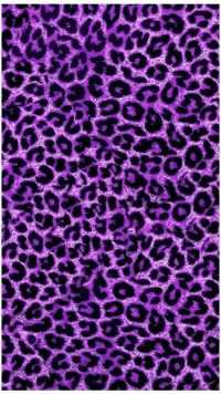 Cheetah Print Wallpapers 8