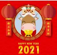 Chinese New Year Background 8