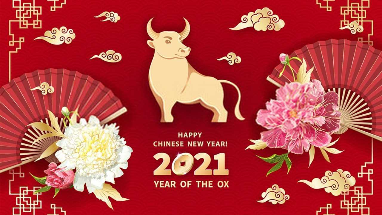 OFILA Polyester Fabric Happy Chinese New Year 2021 Backdrop 6x4ft Chinese Spring Festival Photography Background Year of The Ox Backdrop Chinese New Year Party Background Video Backdrop