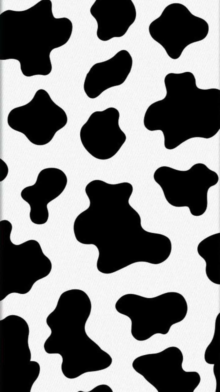 Background Aesthetic Cow Print Wallpaper - canvas-cafe